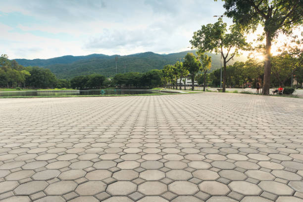 Professional Driveway Pavers in Ogden, KS